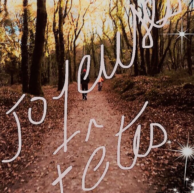 joyeuses fêtes